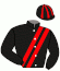 Casaque de GREAT PRIDE