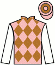 Casaque de BRAVE STAR