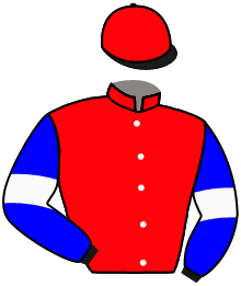 Casaque de MAILLOT VERT