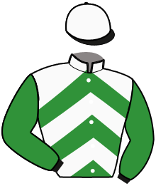 Casaque de GREEN BRUN