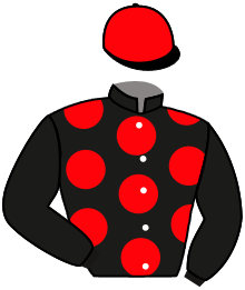 Casaque de HONNEUR D'ESTRUVAL