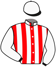 Casaque de STORYVILLE