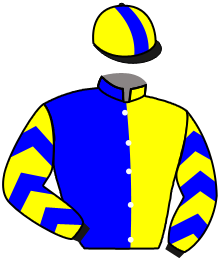 Casaque de LEXINGTON GOLD