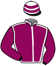 Casaque de DIPLOMATE