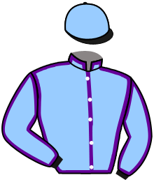 Casaque de UNIVERSAL WIND