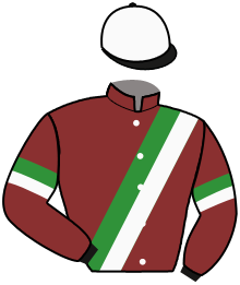 Casaque de SELF EXPLOSIVE