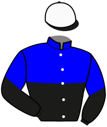 Casaque de LICOLAS DU VICLAU