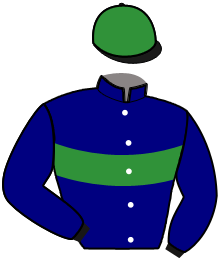 Casaque de JOKER DE L'EPINE