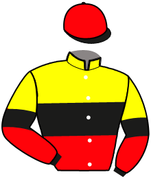 Casaque de DUCKSFLYTOGETHER