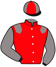 Casaque de LADY DU LILAS