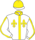 Casaque de SOUTHERN BREEZE
