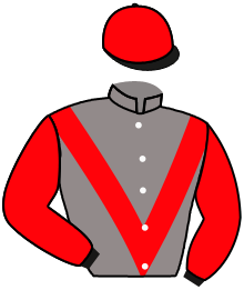 Casaque de FIRE WARNING