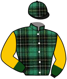 Casaque de WITNESS STAND