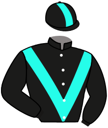 Casaque de NIGHT SESSION