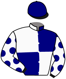 Casaque de ASCOT IN