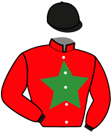 Casaque de LEADER DE L'AUMOY