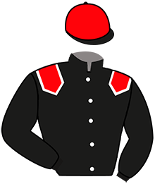 Casaque de L'ETOILE D'URSIN