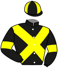 Casaque de GINKGO THELOIS