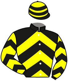 Casaque de HIP HOP SENOVILLE