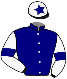 Casaque de HONG KONG STAR