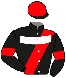Casaque de ROBTHEBANK