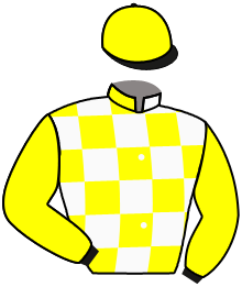 Casaque de REBEL DU MATHAN