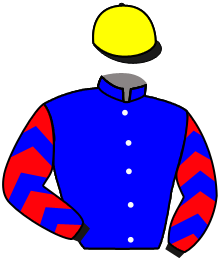 Casaque de LADY DIVINE