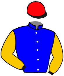 Casaque de DIEGO VENTURA