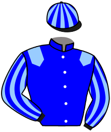 Casaque de BLUE MARTINI