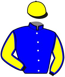 Casaque de MARQUIS D'ARM