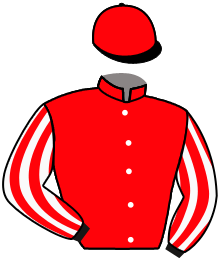 Casaque de HEROS D'AINAY