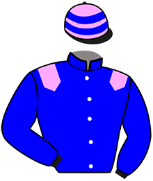 Casaque de GRAND TRIO LUDOIS
