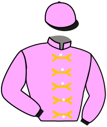 Casaque de ZARQANA