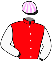 Casaque de LEWIS DE GINAI