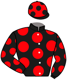 Casaque de LINE MAJYC