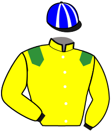 Casaque de LITTLE WING BLUES