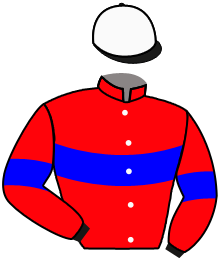 Casaque de JACKSON VILLE