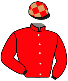 Casaque de MIFASOL DES PLANS