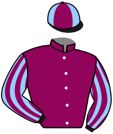Casaque de SANTA SAVANA