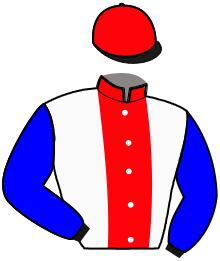 Casaque de NORMAN DE BLARY