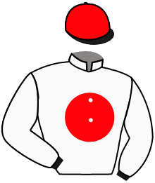 Casaque de WAKAI GO