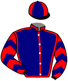 Casaque de XINGA