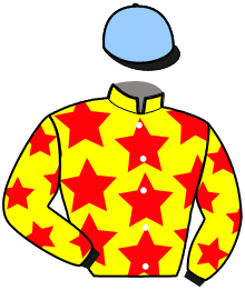 Casaque de ISOCRATE DU CITRUS