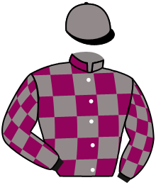 Casaque de GHAIDAA (AR)