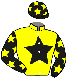 Casaque de HOLLINS