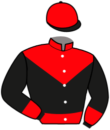 Casaque de HUGO D'HERTALS