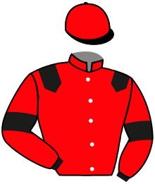 Casaque de ICEMAN TO WIN