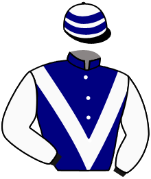 Casaque de DERBY CORSICA