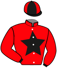 Casaque de LARTIST DU BOSQUET