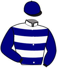 Casaque de LOGO MAJYC